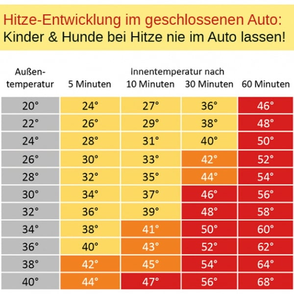 Autofahren bei Hitze: 9 Tipps für unbeschwerte Autofahrten