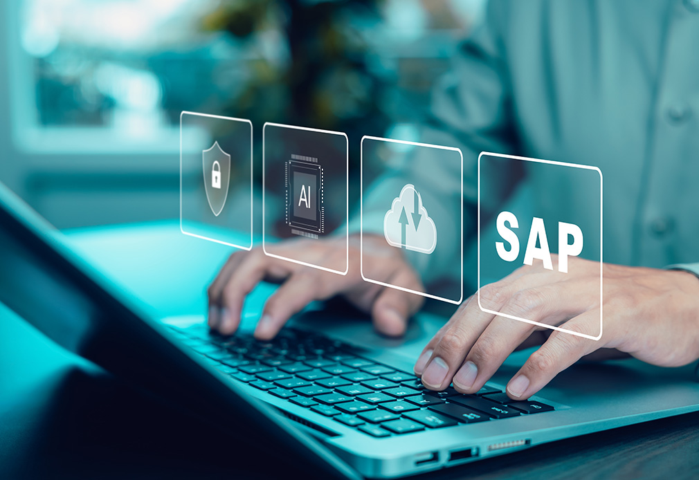 SAP-Schnittstelle und Link2LapID