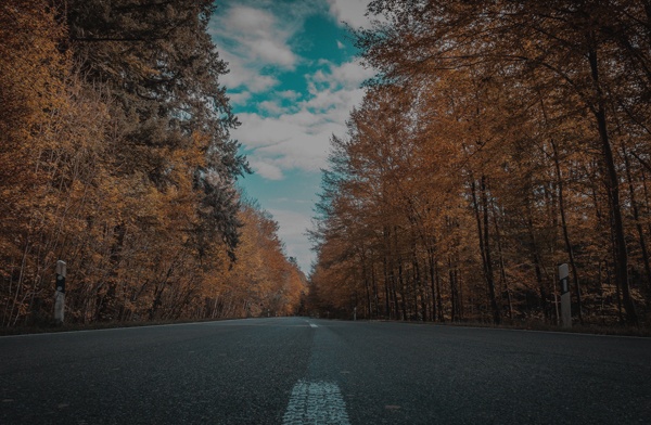 Straße-im-Herbst-Gefahren